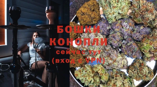 тгк Протвино