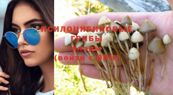 тгк Протвино