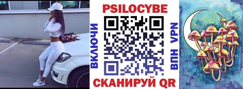 Купить Грязовец Галлюциногенные грибы Psilocybine cubensis